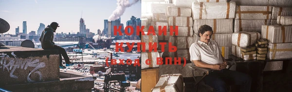 ешки Осинники