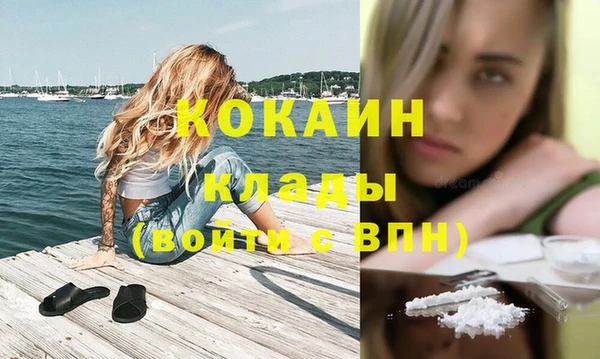 ешки Осинники
