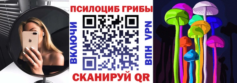 Галлюциногенные грибы MAGIC MUSHROOMS  купить  цена  блэк спрут ссылка  Ветлуга 