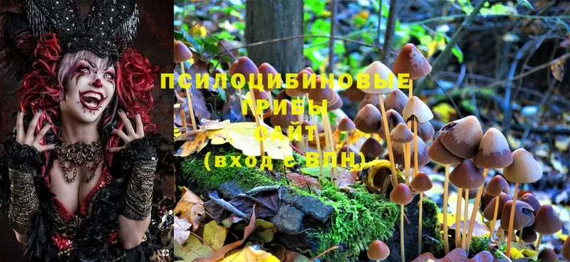 Псилоцибиновые грибы MAGIC MUSHROOMS Ветлуга